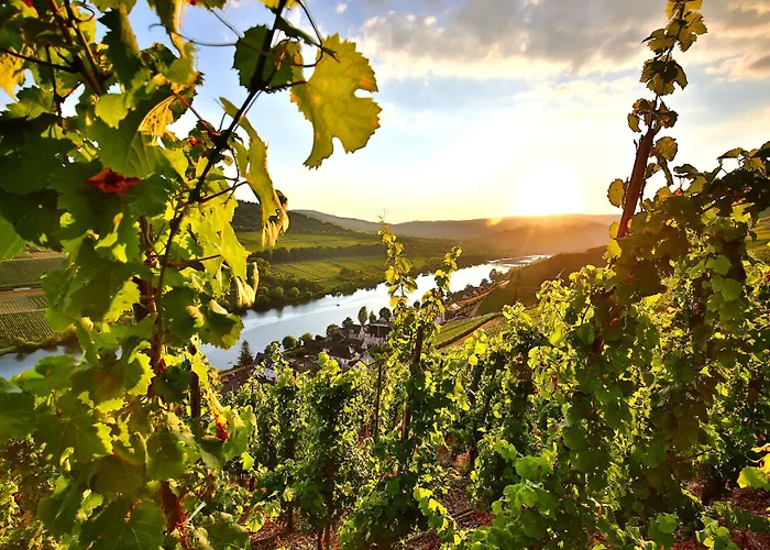 Hotel Vier Jahreszeiten